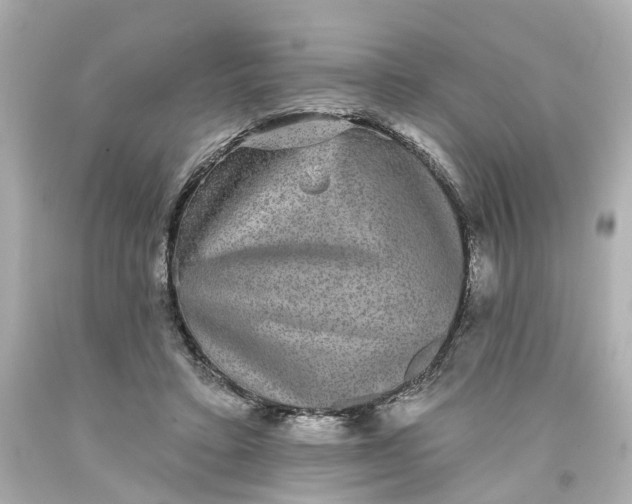 X0000093580403200710291105