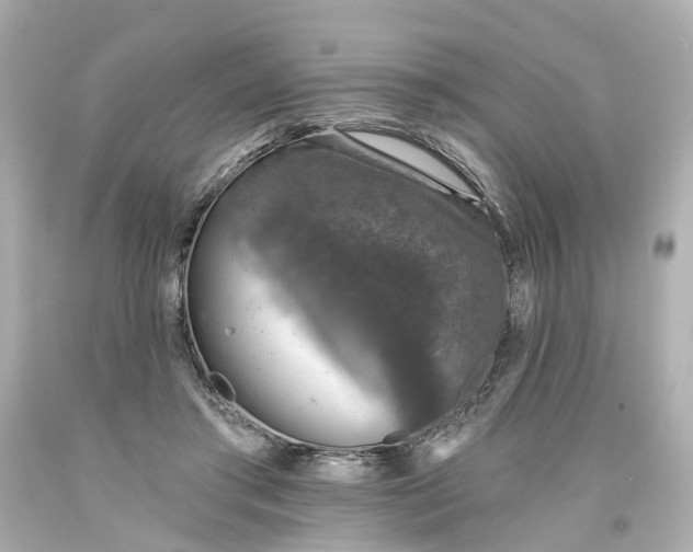 X0000093580405200710291105