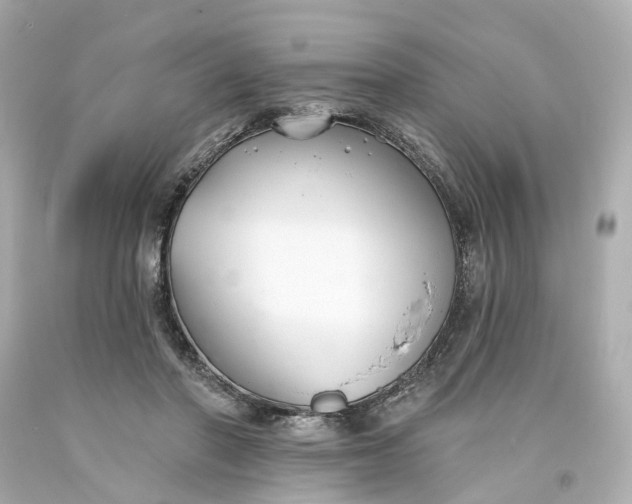 X0000093580406200710291105