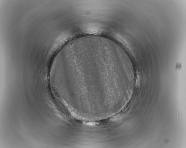 X0000093580407200710291105