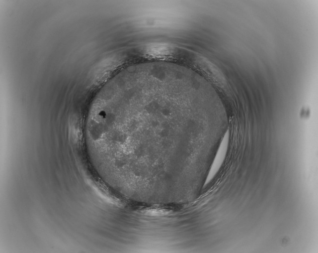 X0000093580408200710291105