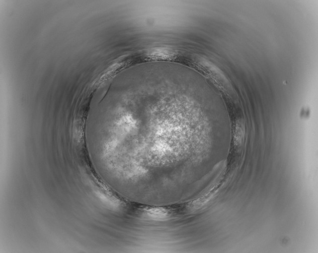 X0000093580409200710291105