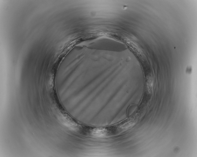 X0000093580410200710291105