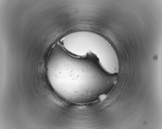 X0000093580411200710291105