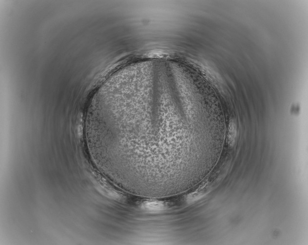 X0000093580413200710291105