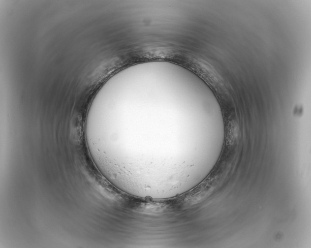 X0000093580414200710291105