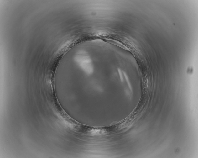 X0000093580415200710291105