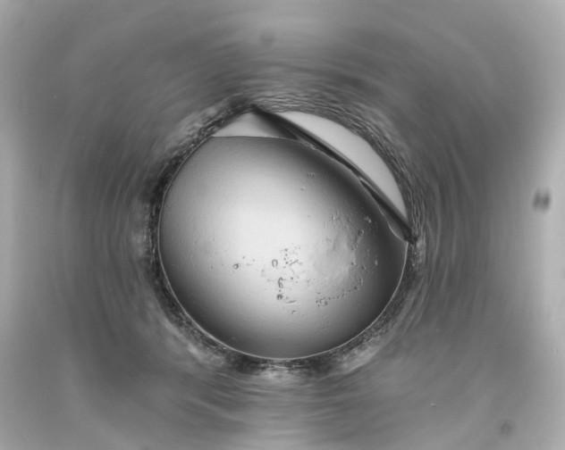 X0000093580416200710291105