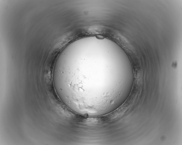 X0000093580418200710291105