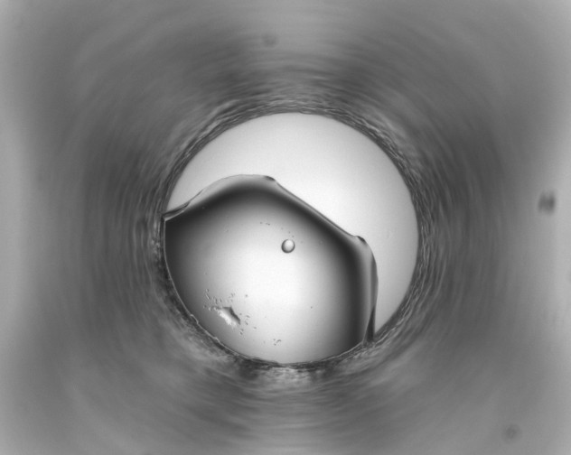 X0000093580421200710291105