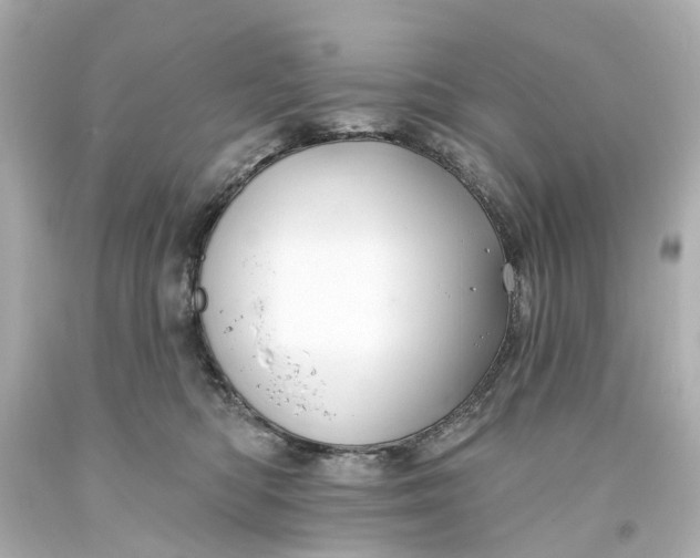 X0000093580422200710291105