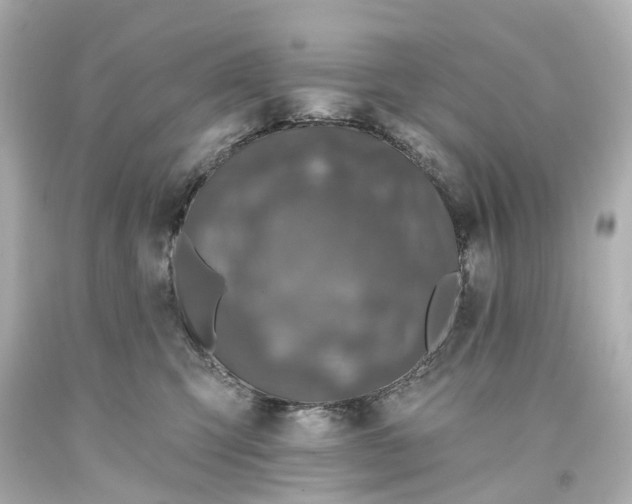 X0000093580423200710291105