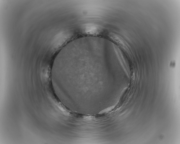 X0000093580424200710291105