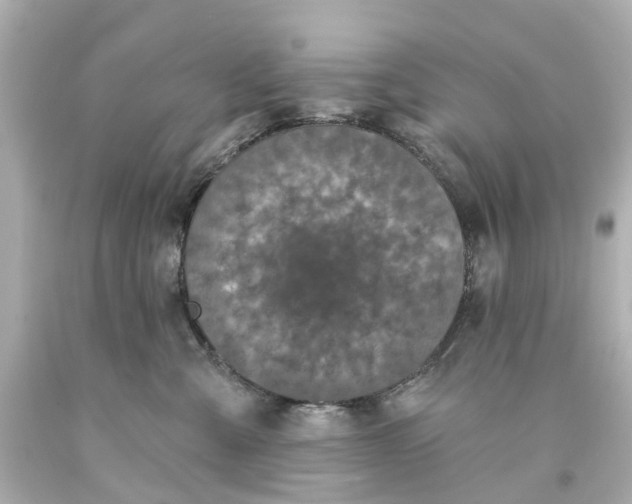 X0000093580427200710291105