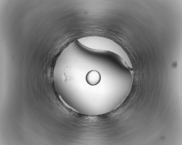 X0000093580428200710291105