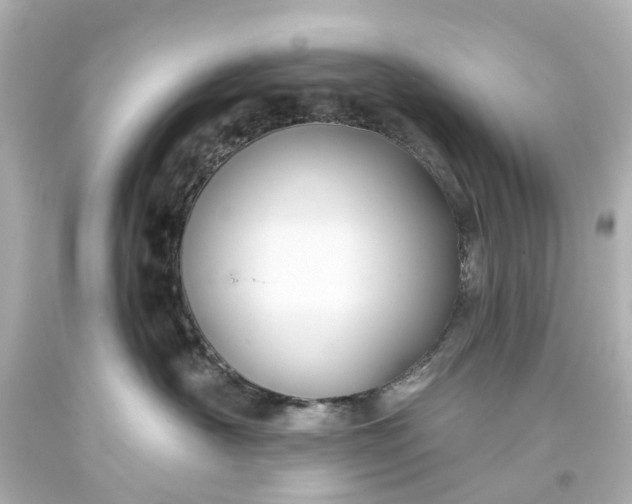 X0000093580430200710291105