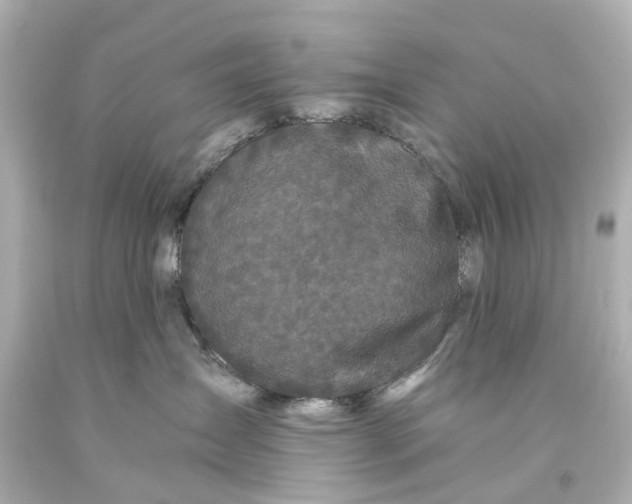 X0000093580431200710291105