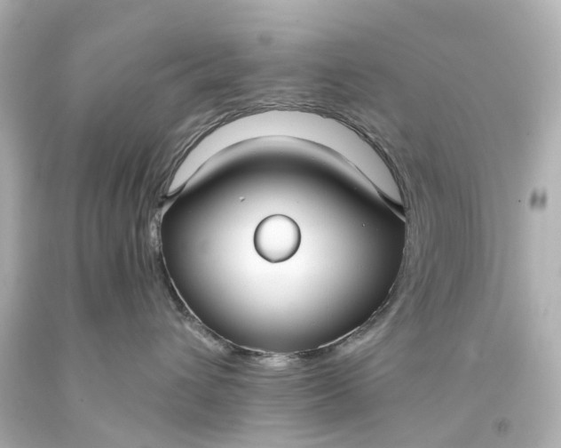 X0000093580432200710291105