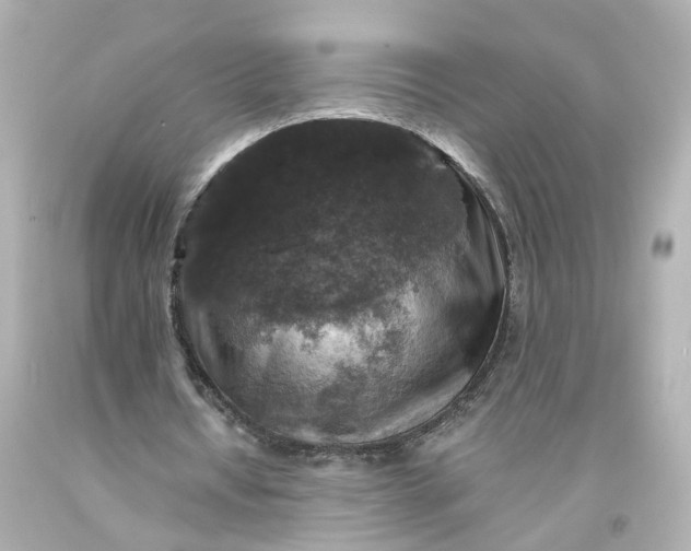 X0000093580434200710291104