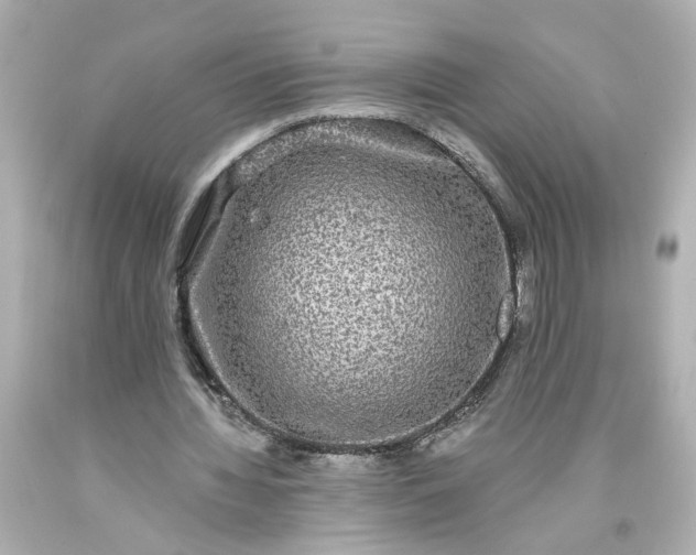 X0000093580436200710291105