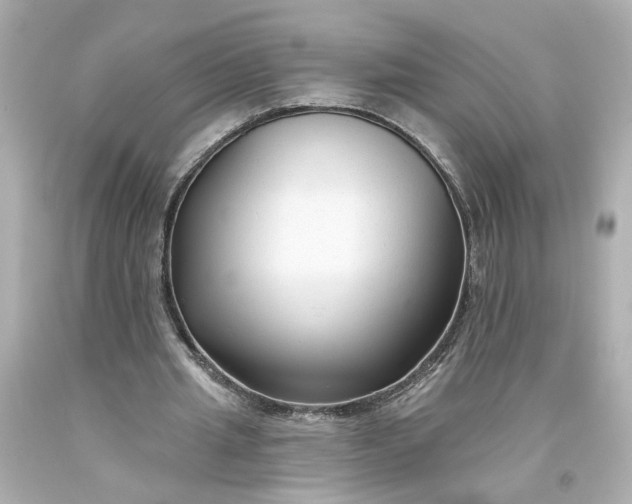 X0000093580437200710291105