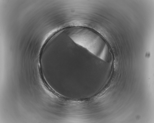 X0000093580438200710291105