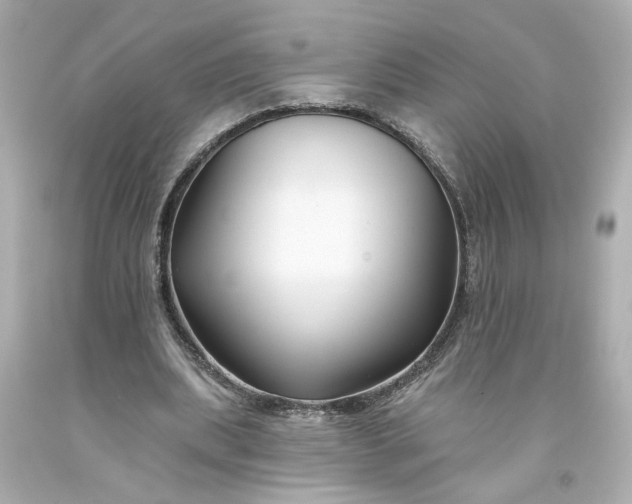 X0000093580439200710291105