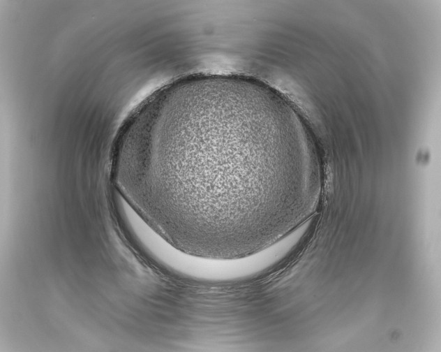 X0000093580440200710291105