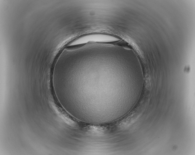 X0000093580442200710291105