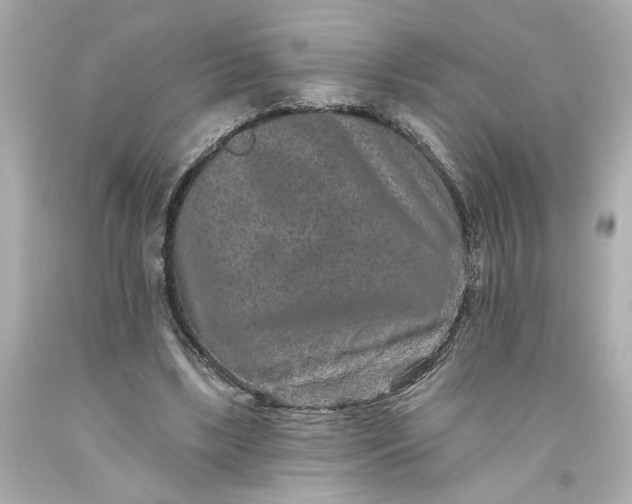 X0000093580443200710291105