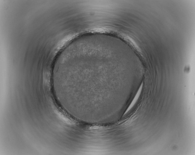 X0000093580444200710291105