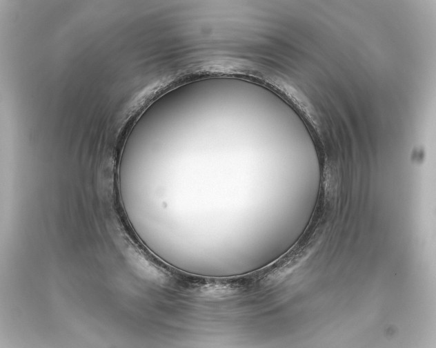 X0000093580445200710291105