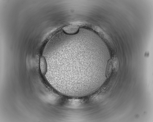 X0000093580448200710291105