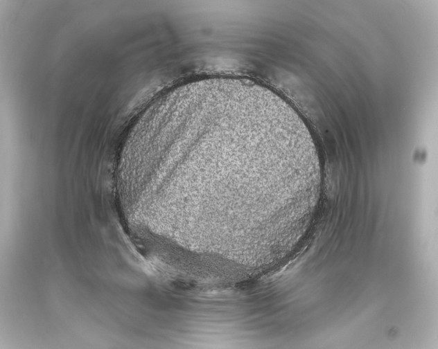 X0000093580449200710291105