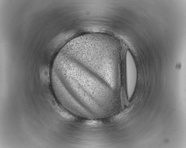 X0000093580453200710291105