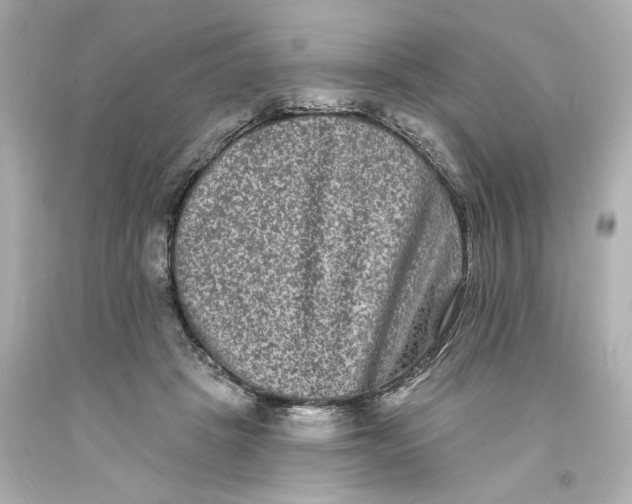 X0000093580457200710291105