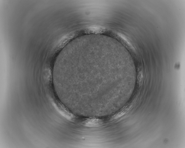 X0000093580459200710291105