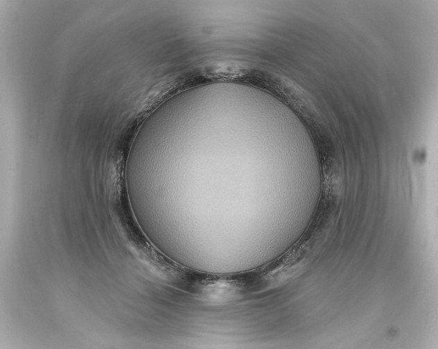 X0000093580460200710291105