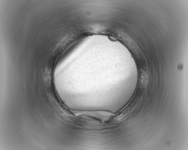 X0000093580461200710291105