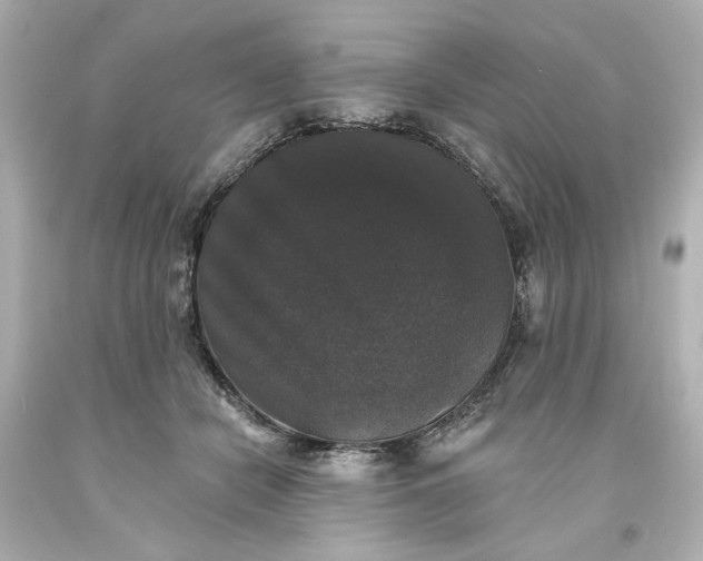 X0000093580462200710291105