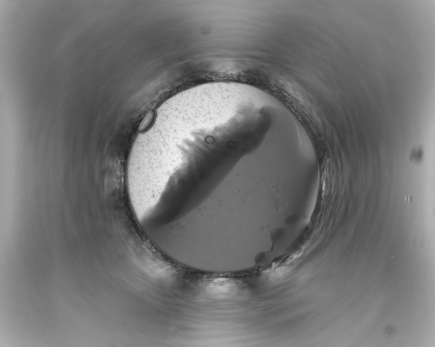 X0000093580467200710291105