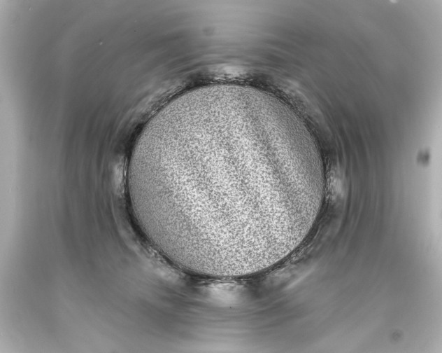 X0000093580468200710291105