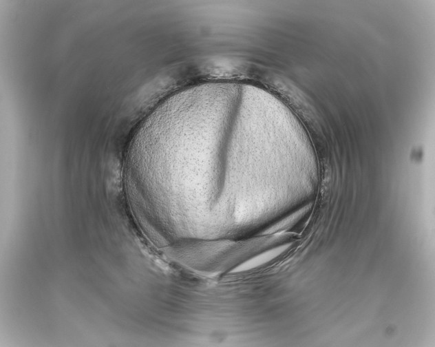 X0000093580469200710291105