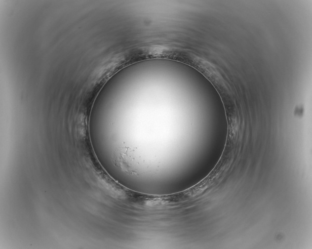 X0000093580470200710291105