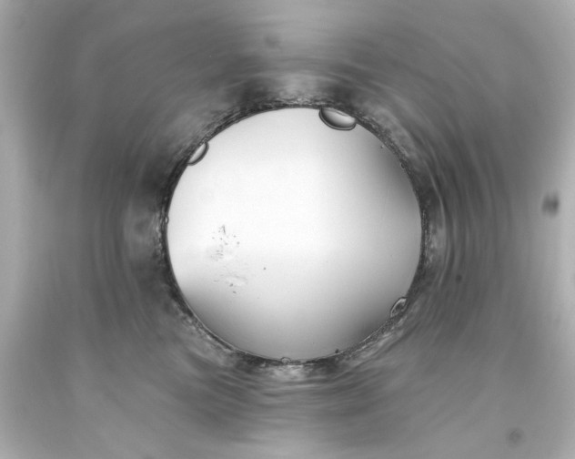 X0000093580473200710291105