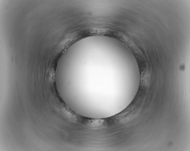 X0000093580474200710291105