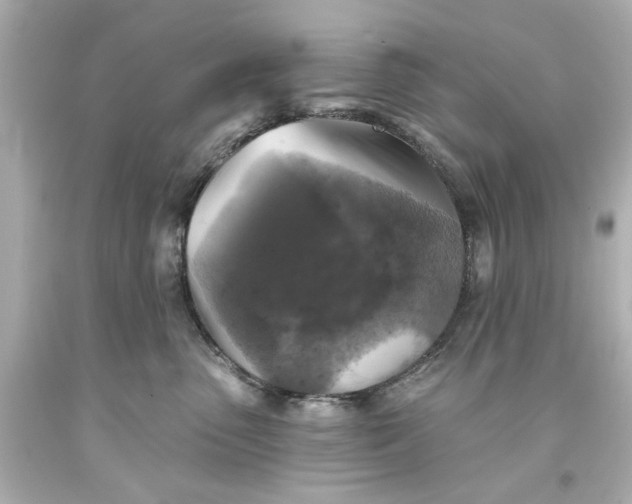 X0000093580475200710291105