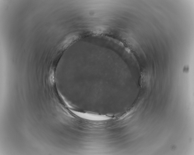 X0000093580479200710291105