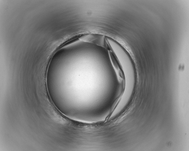 X0000093580481200710291104