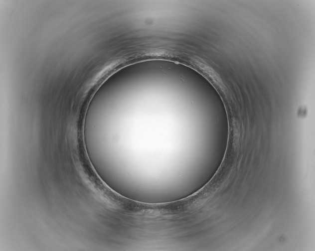 X0000093580482200710291104